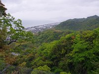 太平洋といちご畑　　何十年ぶり？