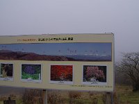 見たかった！　こんな景色