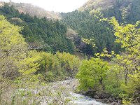 山辺の春