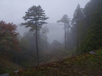 IMG 1855