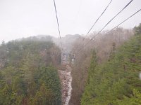 雪だ！