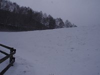 IMG 1959