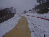 IMG 1960