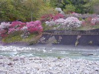 綺麗じゃ