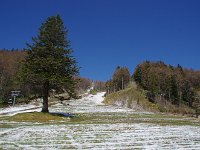 IMG 2048