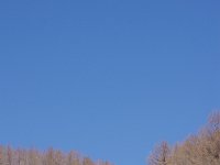 IMG 2051