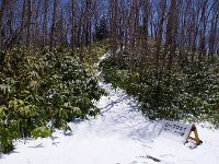 IMG 2074
