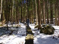 遊歩道です