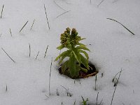 春到来・・ですね