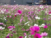 光を通すと又一弾綺麗に！