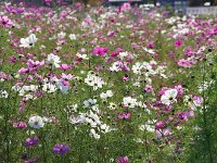 城が際立ちますね