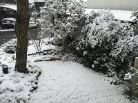 20220106 070502961 iOS