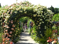 DSC06535