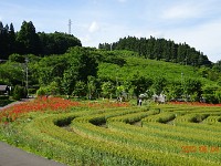 DSC06546