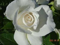 DSC06547