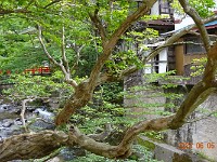 DSC06635