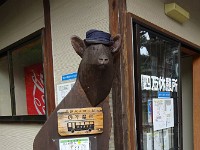 これも！
