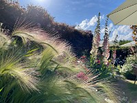 IMG 2262 R