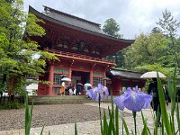 IMG 2498 R
