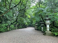 IMG 2525 R