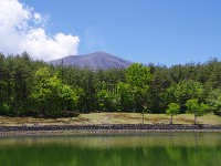 裏浅間・・・淑やかな感じ