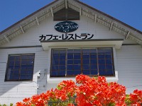 次、通った時は是非ここでお茶を