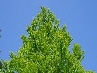 IMG 5756