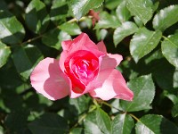 IMG 5769