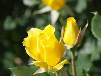 IMG 5843