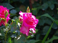 IMG 5869