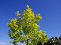 IMG 5871