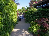 IMG 5876