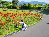もう、夢中！！