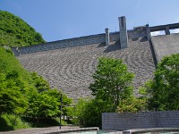 IMG 5961