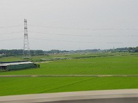 IMG 6055