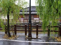 IMG 6106