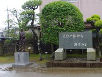 IMG 6148
