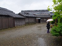 IMG 6151