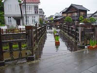 IMG 6165
