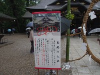 IMG 6219