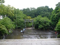 IMG 6242