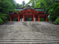 IMG 6243