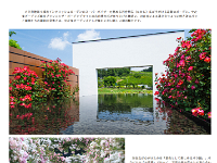 ここからは「中之条ガーデン」の花巡り・・・ご覧有れ「すごい！！」