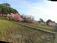 きれいな景色だ！　朝ごはん前に訪れました。