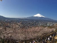 愛鷹山から富士山までのパノラマで