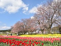 DSC 0015 R