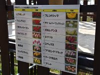 結構な種類が！