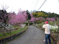 DSC 0157 R