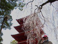 やっと登りきった！