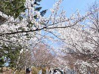 DSC 0480 R